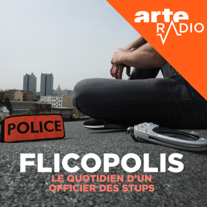 Flicopolis, la police française de l'intérieur