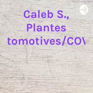 Caleb S., Plantes Automotives/COVID