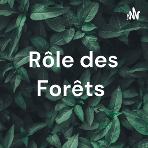 Rôle des Forêts