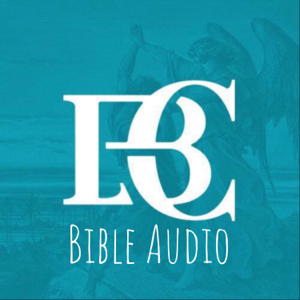 Bible Audio