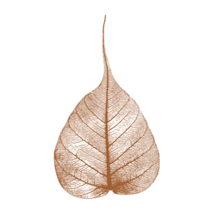 Dhammatalks.org Short Morning Talks