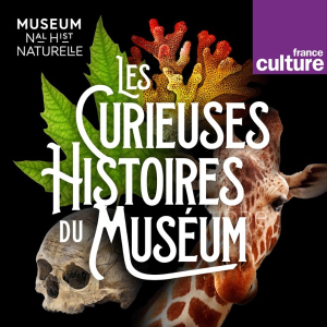 Les Curieuses histoires du Muséum