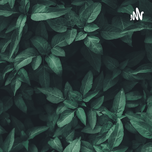 Le minimalisme -Le podcast