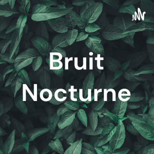 Bruit Nocturne