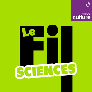 Le Fil sciences