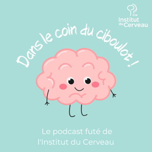 Dans le coin du ciboulot !