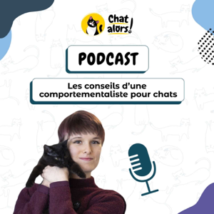 Les conseils d'une comportementaliste pour chats