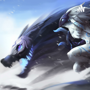 HISTOIRE DE CHAMPION