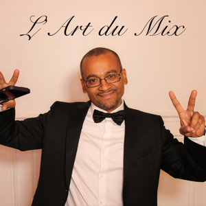 Dj BadMoy (L'Art du Mix)