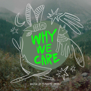 Why We Care