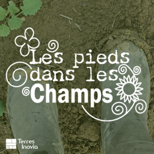 Les pieds dans les champs