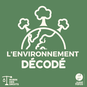 L'environnement décodé