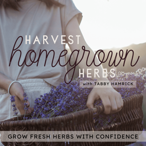 Harvest Homegrown Herbs | Beginner Gardener, Herbal Tea, Garden Planning, Seed Starting, Planting Zone