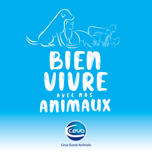 Bien vivre avec nos animaux