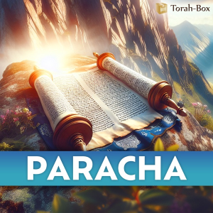 Paracha
