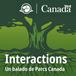 Interactions