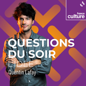 Questions du soir : l'idée