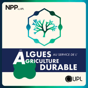 Les algues au service de l'agriculture durable