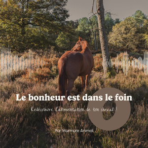 Le Bonheur est dans le Foin - Simplifie l’alimentation de ton cheval !