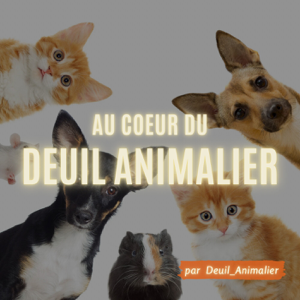 Au cœur du deuil animalier
