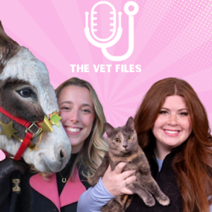 The Vet Files