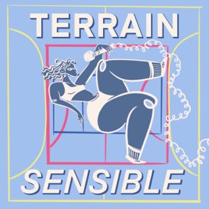 Terrain Sensible