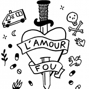 Amour Fou par Camille Laurens