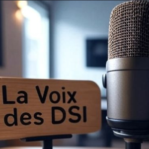 La voix des DSI