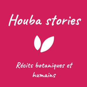 Houba Stories : Récits botaniques et humains