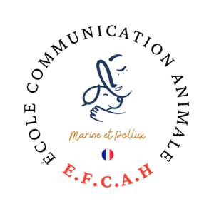 Dialogue Instinctif : le podcast pour tout savoir sur la communication animale