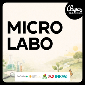 Micro Labo