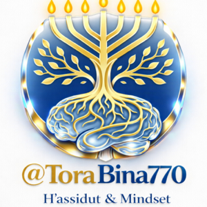ToraBina : Torah & 'Hassidout