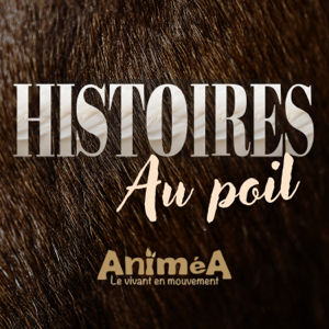 Histoires au poil