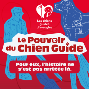 Le pouvoir du chien guide - Histoires vraies et témoignages : handicap et inclusion