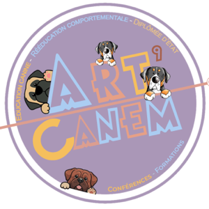 Art’Canem — Ralentir aux côtés de son chien