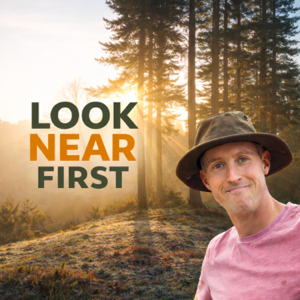 Look Near First