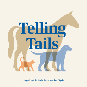 Telling Tails - français