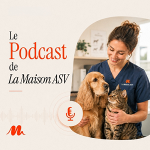 La Maison ASV