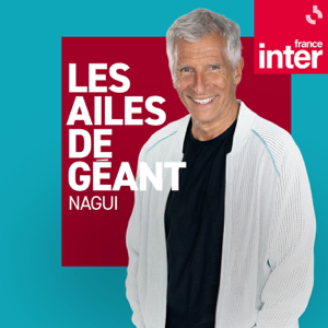 Les ailes de géant