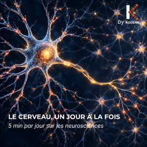 Le cerveau, un jour à la fois.