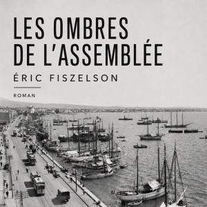 Les Ombres de l'Assemblée